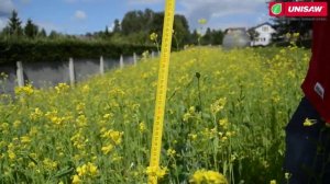 Самоходная бензиновая газонокосилка Caiman Athena 60S. Колесный триммер-кусторез