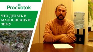 Укрытие растений в малоснежную зиму