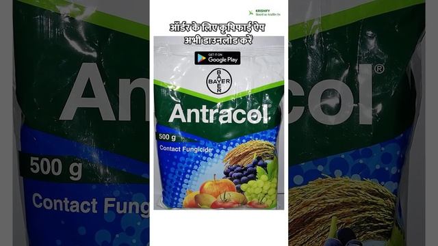 Antracol 500g जो फसलों को फफूंद से बचाता है | Antracol Fungicide Bayer