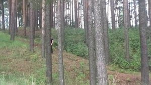 Ты люби меня просто так   - поёт Джанго