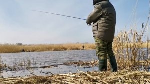 Река Прохладная Калининградская обл. 2019