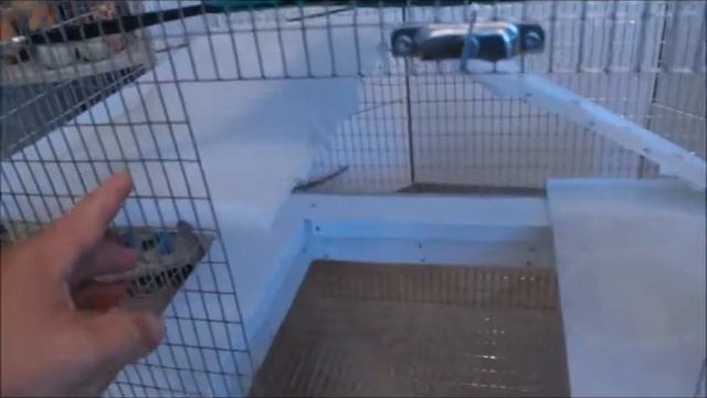 Клетка для хорька/50х70х70см/ "Эдем XXL"/Наполнение пластик/Makklet/Обзор. смотреть онлайн