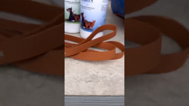 Экстренная новость ЩЕНКИ ВСЕ…. смотреть онлайн