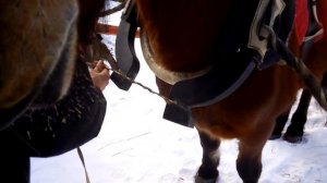 Как продеть дугу в гужи