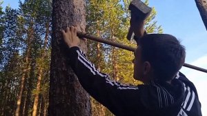 сделали новый турник|как сделать турник в лесу#турники#воркаут#лес