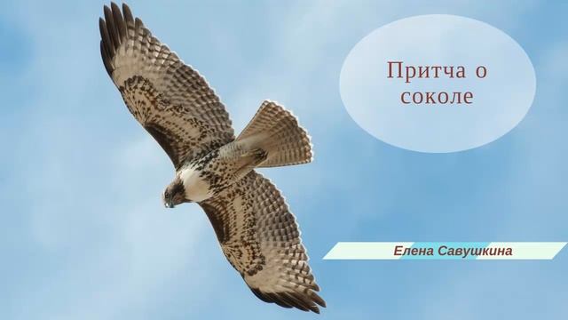 Притча о соколе смотреть онлайн