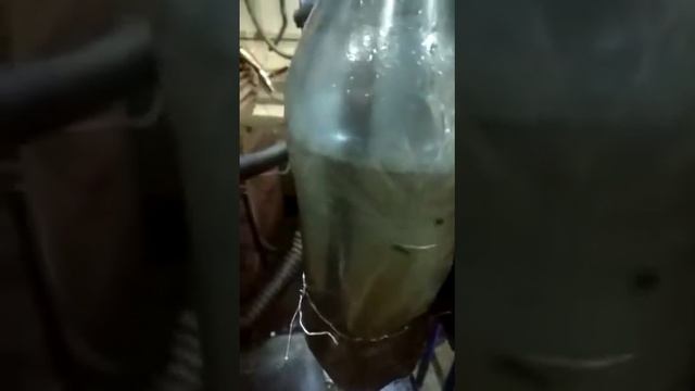 Контрактный двигатель TOYOTA PASSO KGC10 1KR-FE 0199543 смотреть онлайн