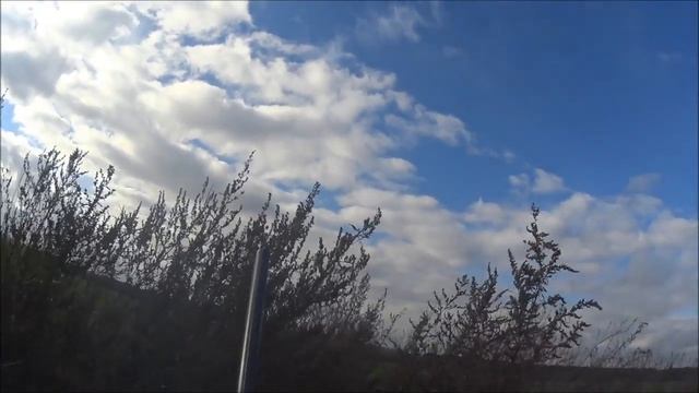 Охота на вяхиря в Курской области. ЧАСТЬ №2 смотреть онлайн