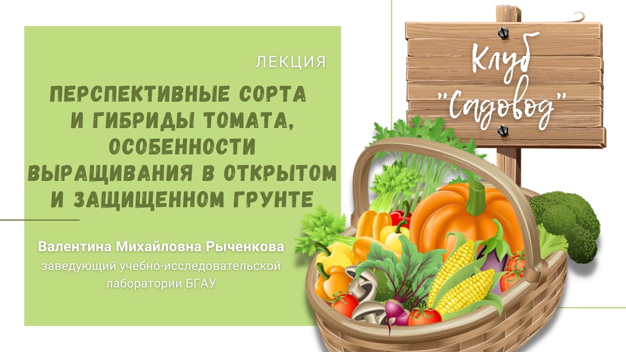 Лекция "Перспективные сорта и гибриды томата, особенности выращивания в открытом и защищенном грунте