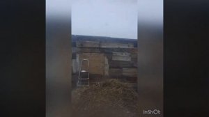 Зима , трактор т-40 , вилы на заднюю навеску ,поездка за соломой