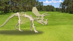 Dinosaur bone puzzle game | Find the dinosaur bones | What did the dinosaurs eat?
|공룡의 뼈를 찾아라 |딩동T