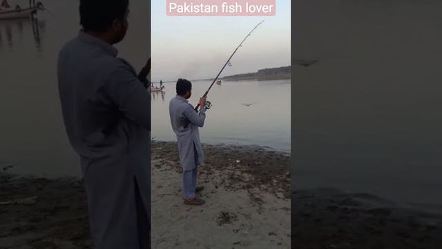 pakistan fish lover zain wazirabad #pakistanifish #karachifish #fishing