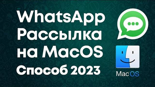 Whatsapp Рассылка через Мак Бук (Mac OS) 2023 смотреть онлайн