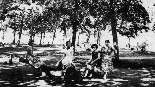 Владимир Нечаев В городском саду смотреть онлайн