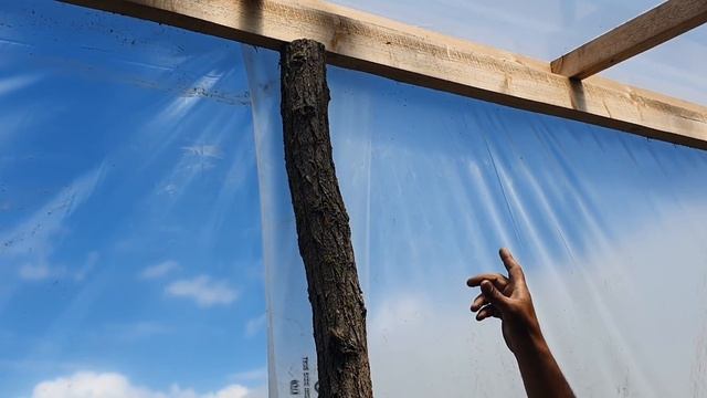 Бюджетная деревянная теплица 36х5,5м смотреть онлайн