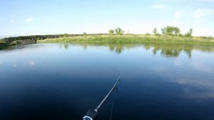 Клязьма, Красная Дубрава, попался неплохой судак