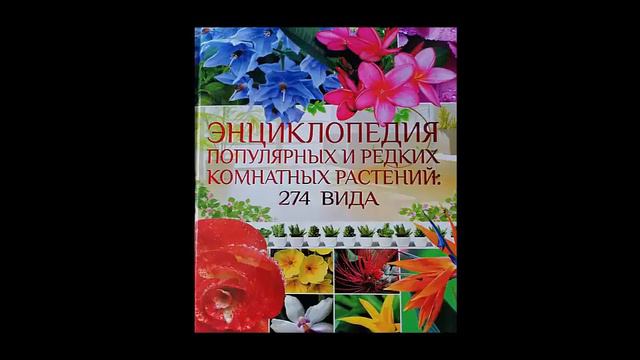 МИР КОМНАТНЫХ РАСТЕНИЙ