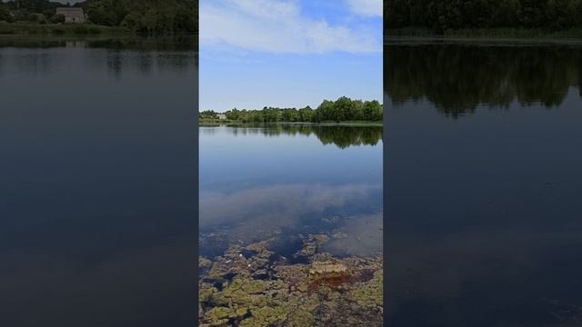 И пусть не клюёт:)