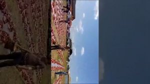 28. 06. 2023 год.праздник жертвоприношения, Курбан, байрам, селени Шуани, Гудермесский район.