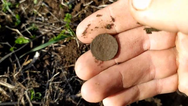 Есть еще находки, которые могут поразить. Крымский поиск. Крымский парень. смотреть онлайн