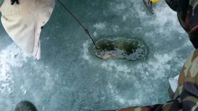Минское море/ Огромный лещ / Зимняя рыбалка