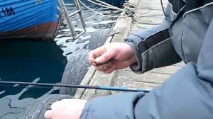 Рыбалка на Черном море в Крыму. Балаклава-Ялта.