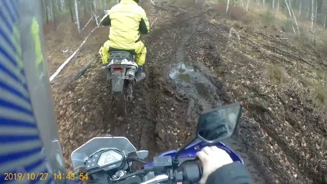 Racer panther, новый выхлоп китайский акрапович.