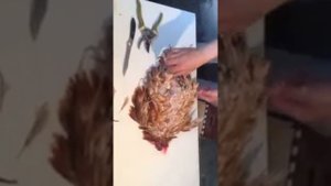 Перосъемная машина ПМ-7М отзывы.