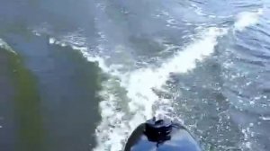 Лодочный мотор Allpass 2.6 л.с. Первый выход на воду