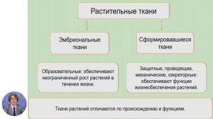 Биология, 8-й класс, Царство Растений. Общие особенности