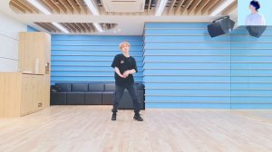Stray Kids Lee Know 리노리방 Dance Compilation