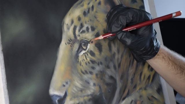 Painting a Realistic Leopard | Pastel Painting Time-lapse смотреть онлайн