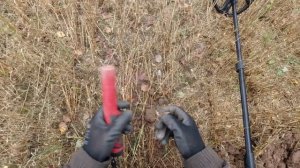 КОП С XP ORX / Поднял серебро 1900 ГОДОВ