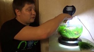 Два месяца не чистил круглый аквариум