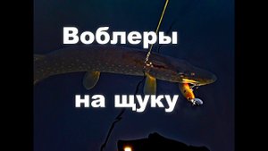 Воблеры по активной щуке. Уловистые, но неподходящие. Часть 1.