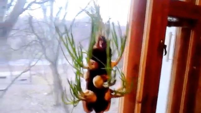 Лук на веревке из бутылки часть №3 смотреть онлайн