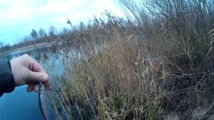 Обзор и тест на воде Strike Pro Inquisitor 110 SP.