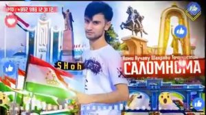 шох  реп саломнома