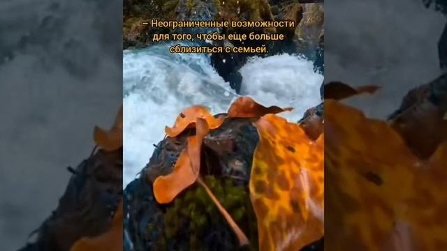 У вас есть:
– Неограниченные возможности для того, чтобы сохранить крепкое здоровье.
– Неограниченны