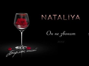 NATALiYA -  Бармен, налей! (lyrics video)