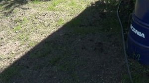 Антенна бедного радиолюбителя !