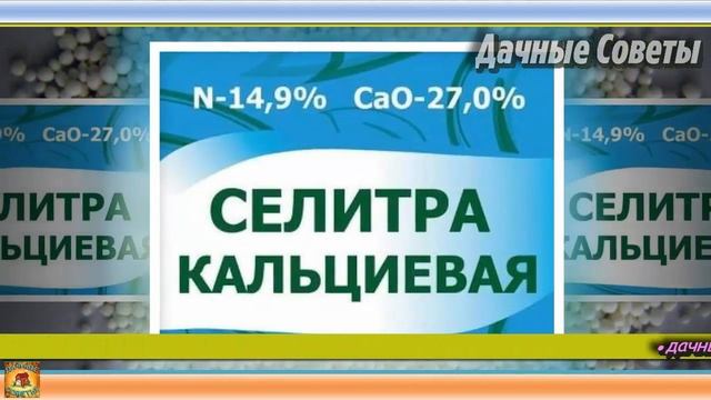 Яичная скорлупа БОЛЬШЕ НЕ ПРИГОДИТСЯ на огороде С легкостью ее ВЫБРАСЫВАЙТЕ Дачные советы