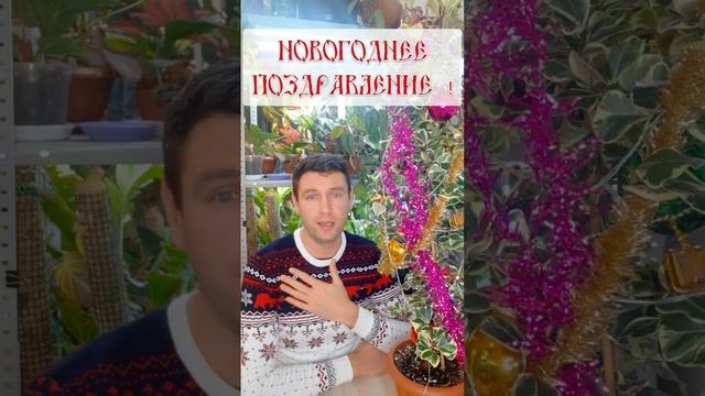 Здоровья ,взаимопонимания ,денег и места на новые хотелки!