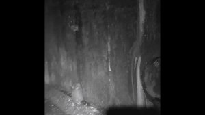 Экскурсия по подземелью Москвы Неглинка, Цветной бульвар