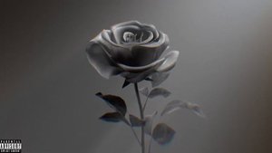 2Scratch - SNOW WHITE (prod.by 2Scratch)