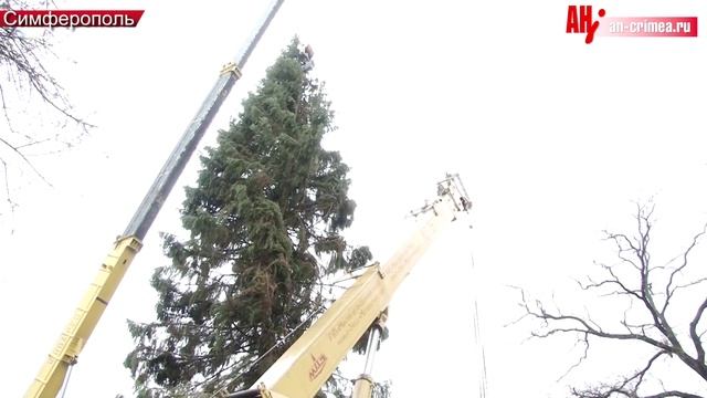 Установка ёлки на улице Пушкина смотреть онлайн