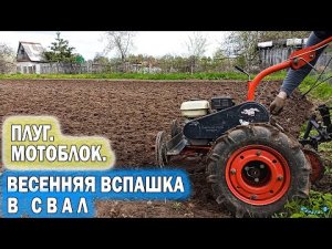 Вспашка плугом весенняя в свал. Мотоблок Агат с задачей справился. 2022.