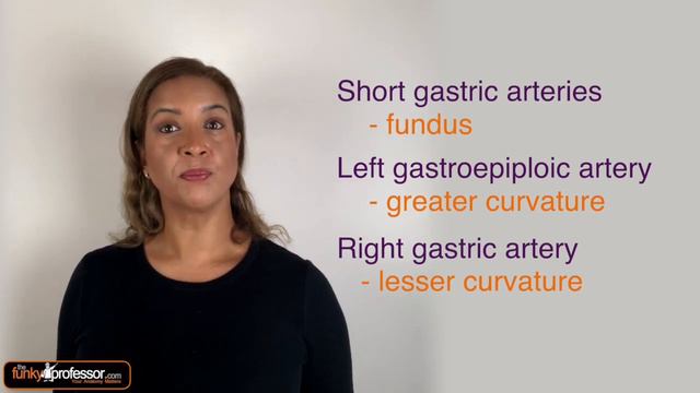 Funky Friday Anatomy Quiz - Who wants to be an Anatomy Millionaire? смотреть онлайн