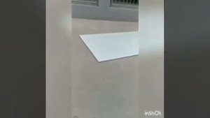 Пластиковая Фанера для опалубки испытание