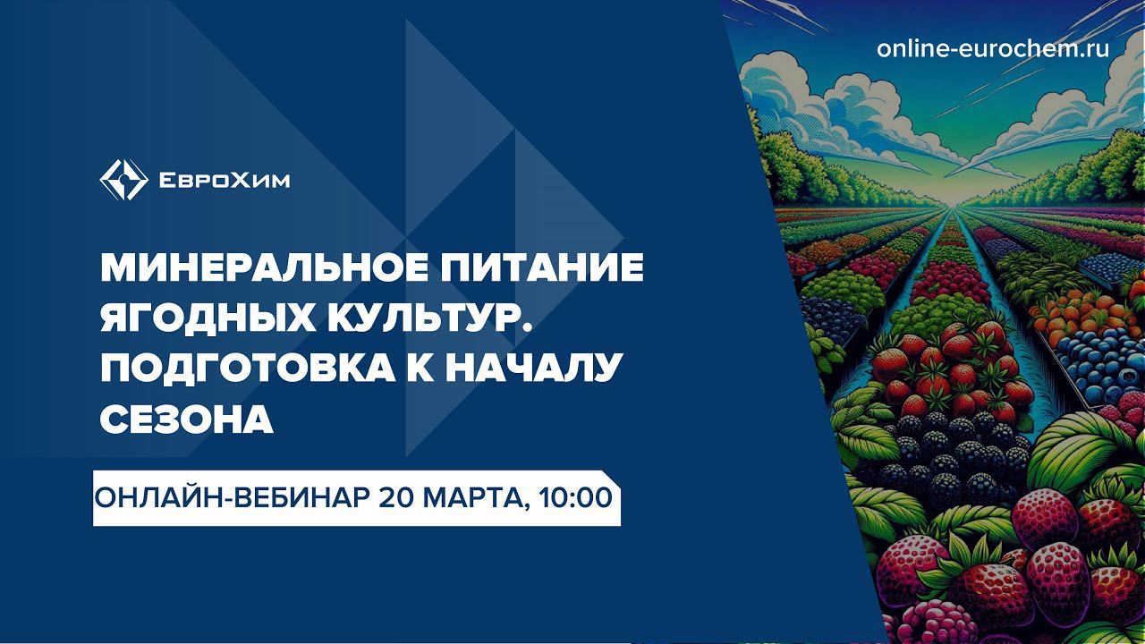 Вебинар "Минеральное питание ягодных культур. Подготовка к началу сезона"